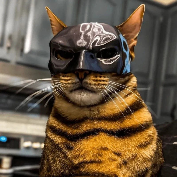 Cat Hero Cosplay Mask