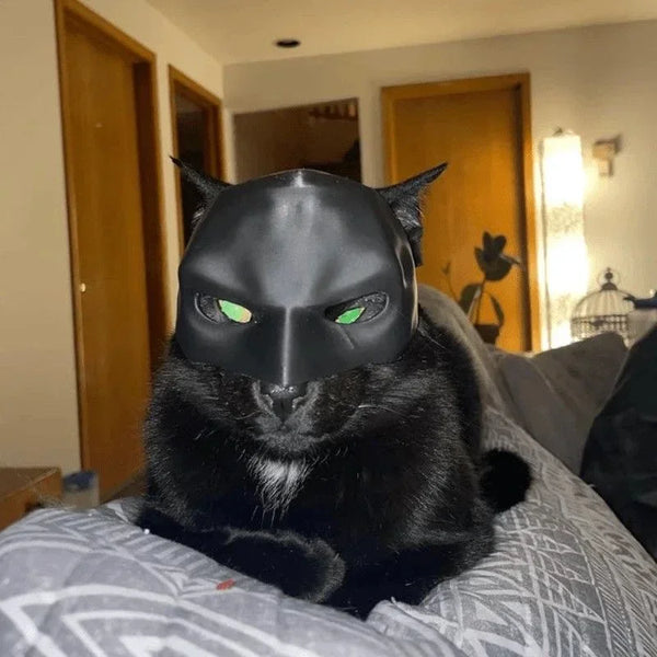 Cat-Avenger-Mask-Bat-Halloween-3D-Printed-Cosplay-Hat-Cat-Funny-Toys-Photos-Props-Pet-Accessories.jpg