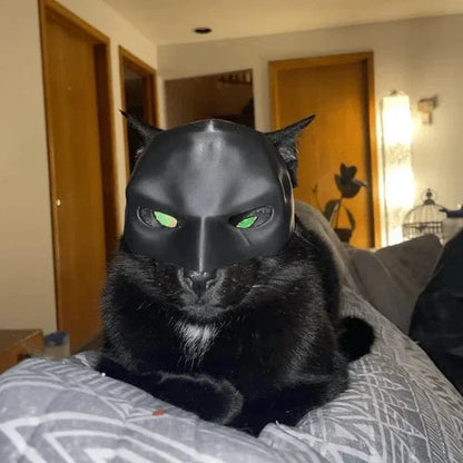 Cat Hero Cosplay Mask