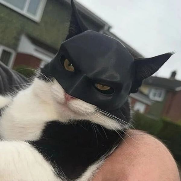 Cat-Avenger-Mask-Bat-Halloween-3D-Printed-Cosplay-Hat-Cat-Funny-Toys-Photos-Props-Pet-Accessories.jpg