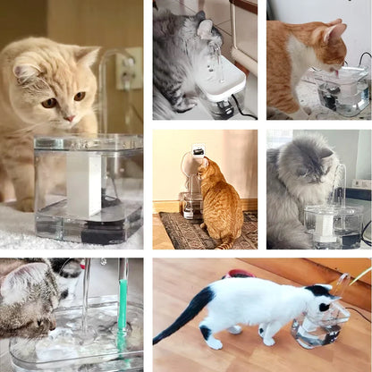 Whisper-Quiet Cat Water Fountain