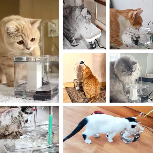 Cat-Water-Fountain-Auto-Filter-Transparent-Cat-Drinker-USB-Electric-Mute-Recirculate-Filtering-Drinker-for-Cats.jpg