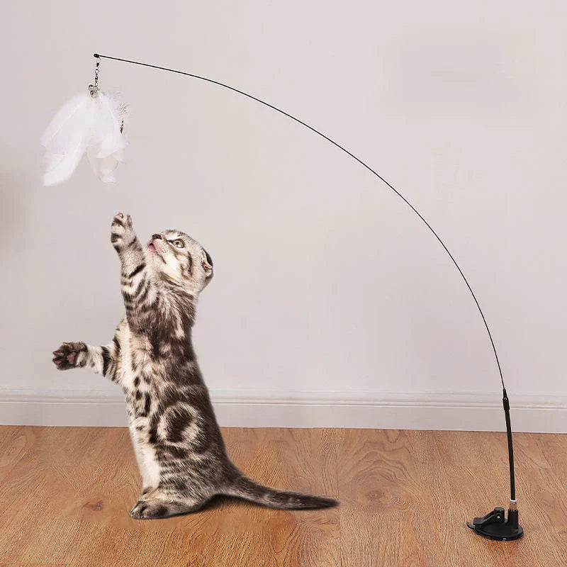 Magic Motion Cat Teaser