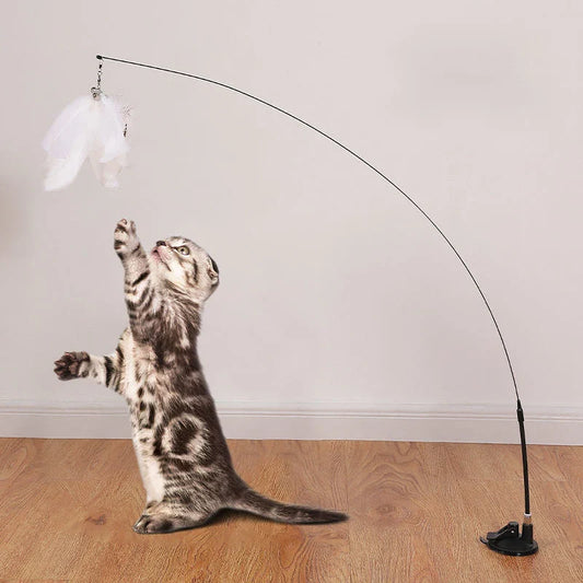 Magic Motion Cat Teaser