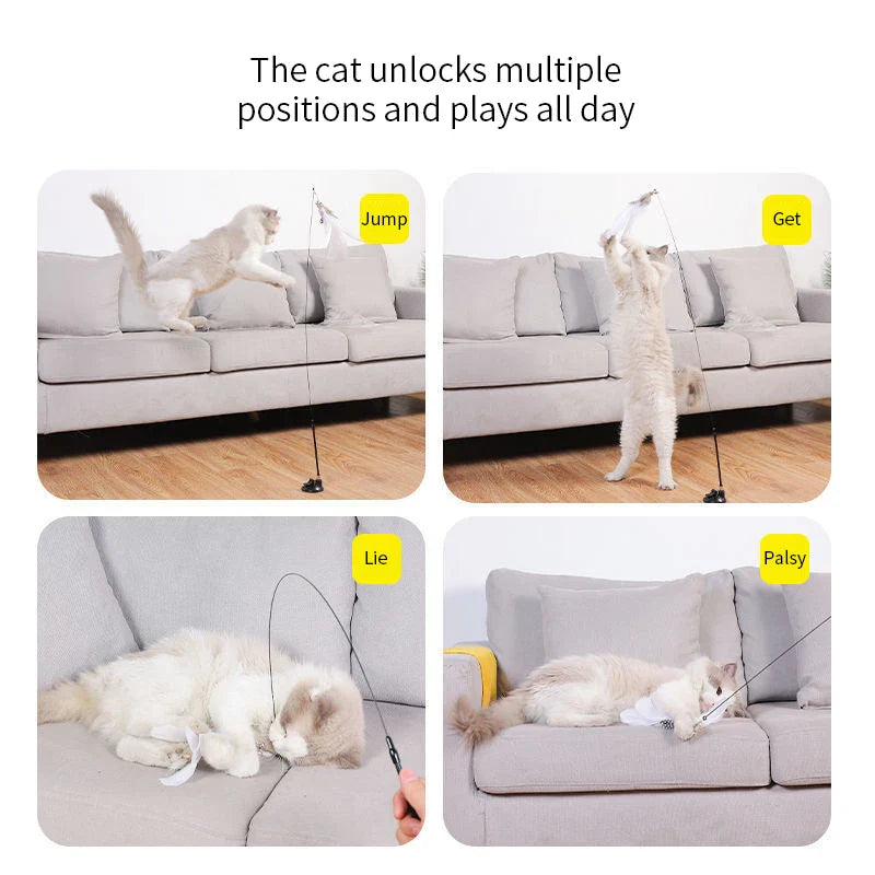 Magic Motion Cat Teaser