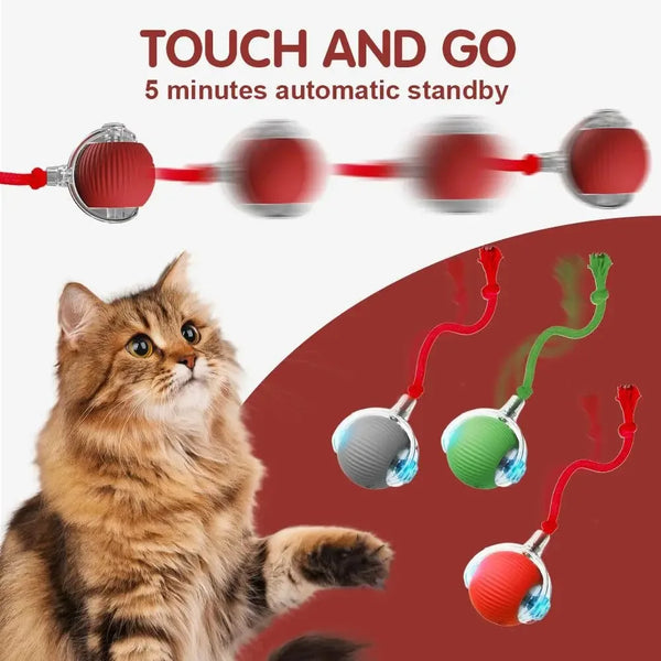 New-Cat-Interactive-Ball-Toy-Automatic-Rolling-Cat-Ball-Rechargeable-Smart-Kitten-Interactive-Toy-Intelligent-Balls.jpg