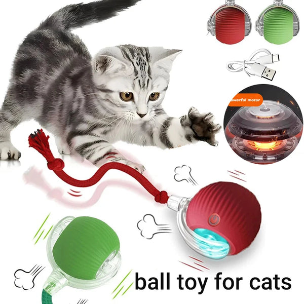 Smart Rolling Cat Ball