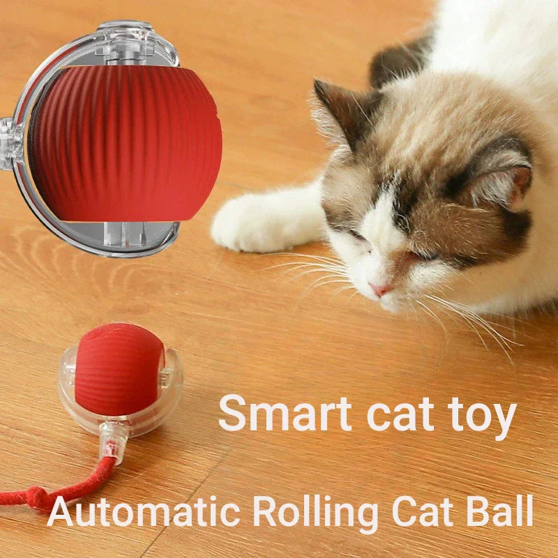 Smart Rolling Cat Ball